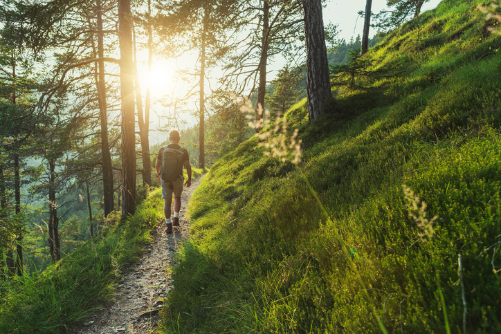 Wandern in der Natur